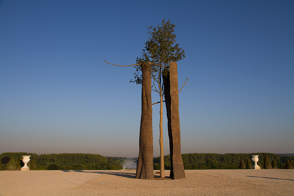 Exposition de l'Artiste Giuseppe Penone dans le Parc du Château de Versailles.