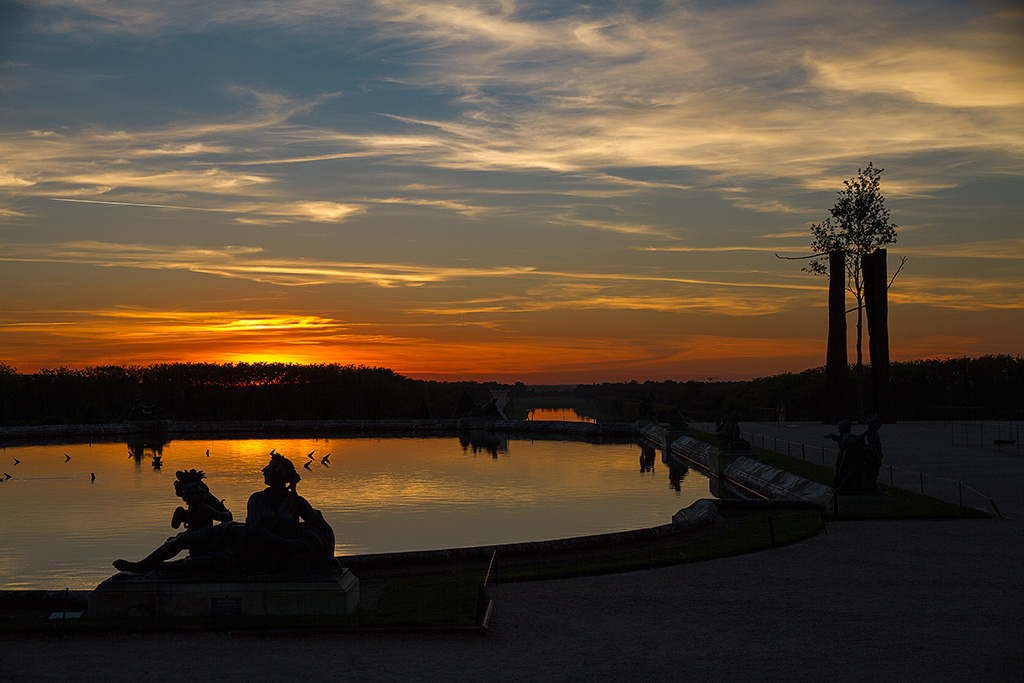 Exposition de l'Artiste Giuseppe Penone dans le Parc du Château de Versailles.