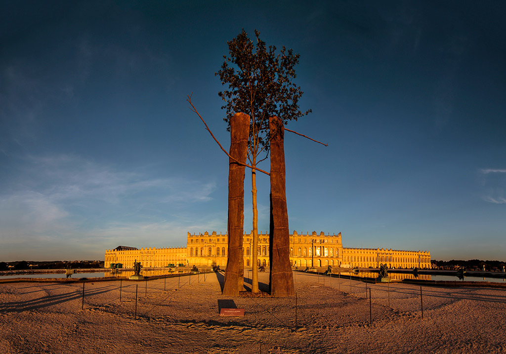 Exposition de l'Artiste Giuseppe Penone dans le Parc du Château de Versailles.