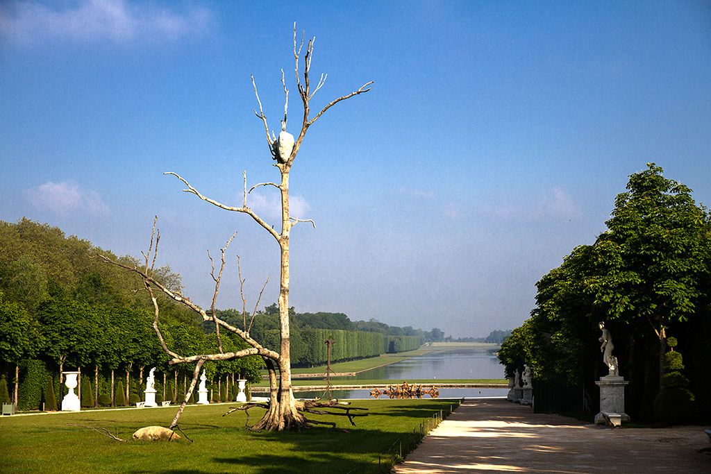 Exposition de l'Artiste Giuseppe Penone dans le Parc du Château de Versailles.