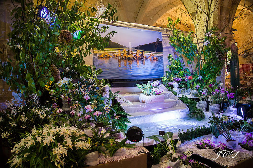 Visite de l'exposition d'orchidées dans l'abbaye de Vaucelles dans le Cambrésis dans le Nord.