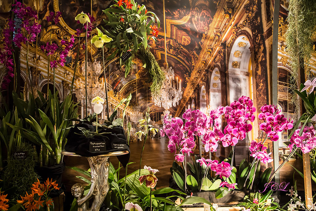 Visite de l'exposition d'orchidées dans l'abbaye de Vaucelles dans le Cambrésis dans le Nord.