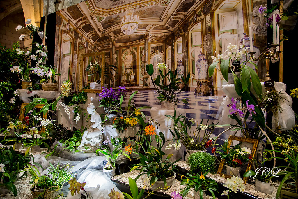 Visite de l'exposition d'orchidées dans l'abbaye de Vaucelles dans le Cambrésis dans le Nord.