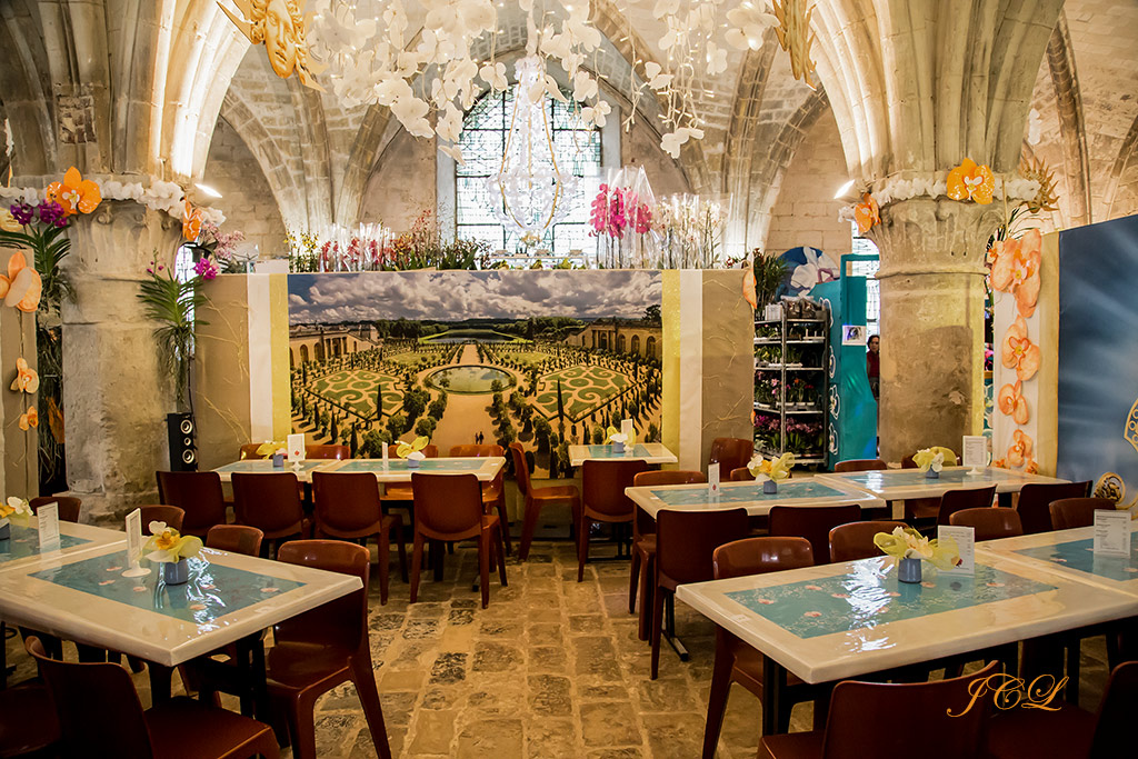 Visite de l'exposition d'orchidées dans l'abbaye de Vaucelles dans le Cambrésis dans le Nord.