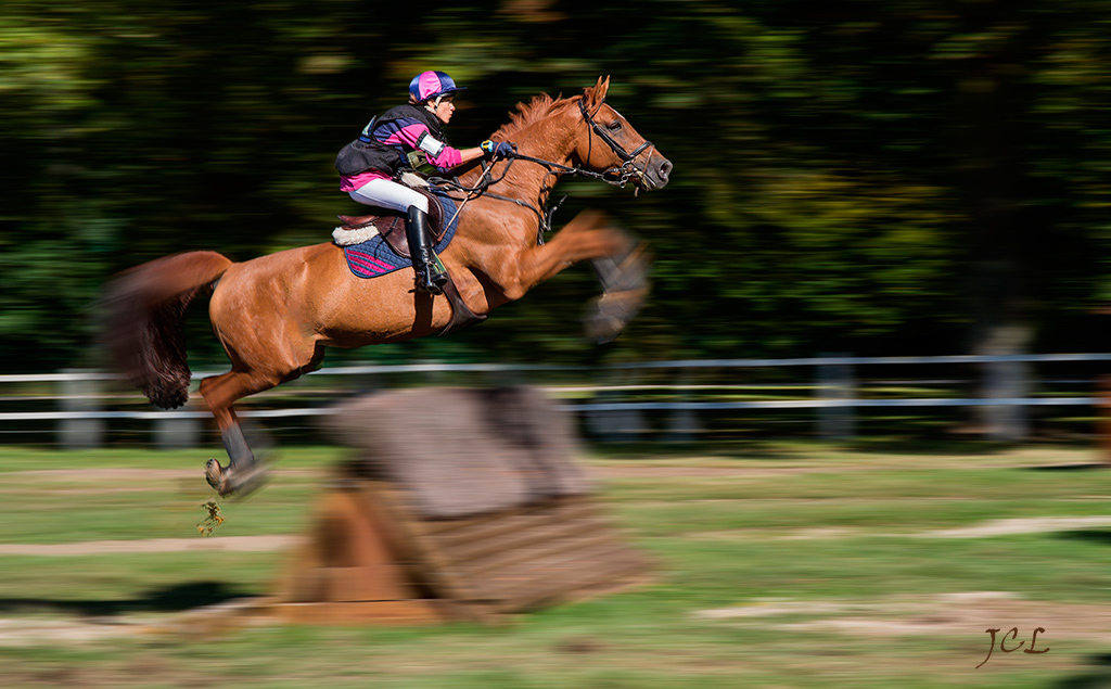 Saut d'obstacle aux Haras de Jardy.