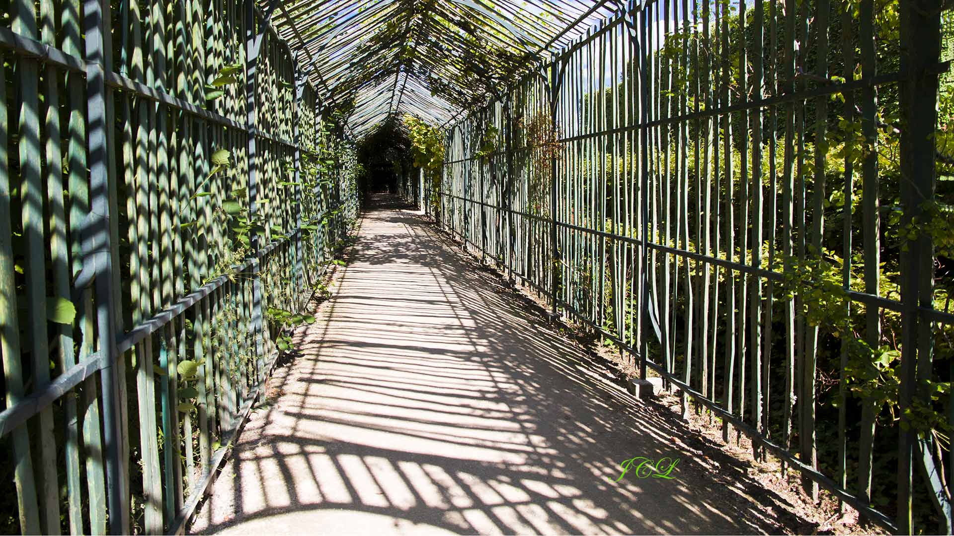 Le tunnel en treillis qui relie le petit trianon au theatre de Marie antoinette du chateau de versailles.