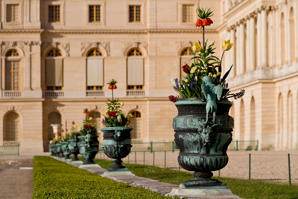 Vases du Parterre du Midi, Jardin du Château de Versailles.